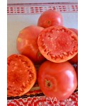 Семена томата Дакоста Португальская - коллекционный сорт