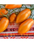 Семена томата Ириска - коллекционный сорт