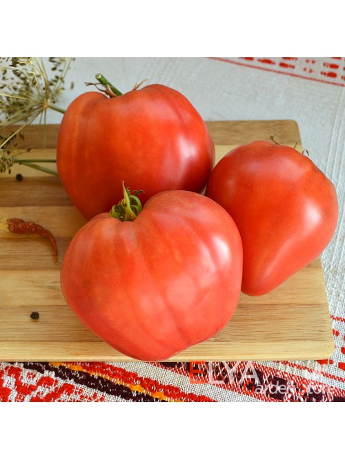 Семена томата Северная Корона - коллекционный сорт