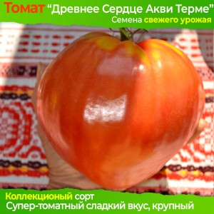 Семена томата Древнее Сердце Акви Терме - коллекционный сорт
