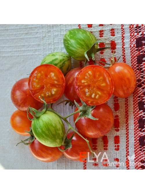 Семена томата Санрайз Бамбл Би - коллекционный сорт