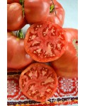 Семена томата Раритет - коллекционный сорт