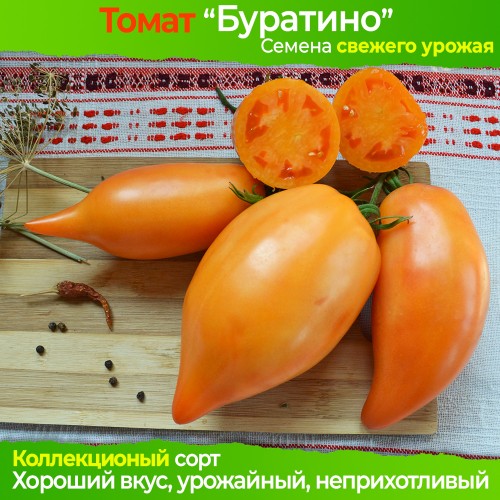 Семена томата Буратино - коллекционный сорт
