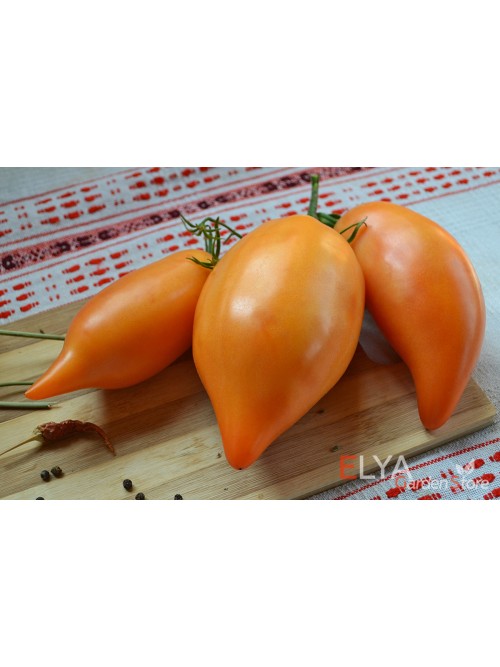 Семена томата Буратино - коллекционный сорт