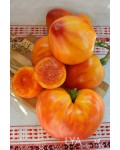 Семена томата Золотые Горы Медео - коллекционный сорт