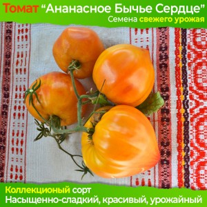 Семена томата Ананасное Сердце - коллекционный сорт