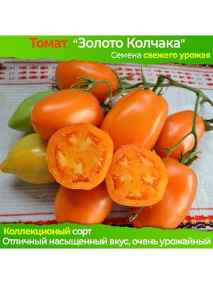 Семена томата Золото Колчака - коллекционный сорт