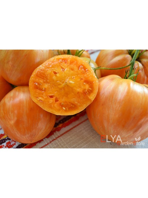 Семена томата Джаз Оранж - коллекционный сорт