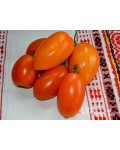 Семена томата Персик из Риги - коллекционный сорт