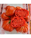 Семена томата Карл - коллекционный сорт