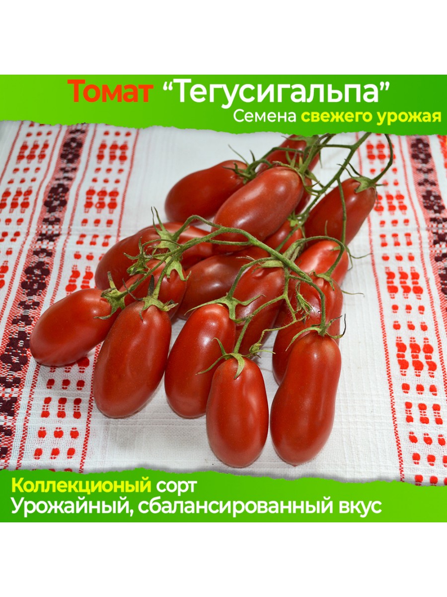 Томат Тегусигальпа в магазине Elya Garden - Семена