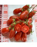 Семена томата Тегусигальпа - коллекционный сорт