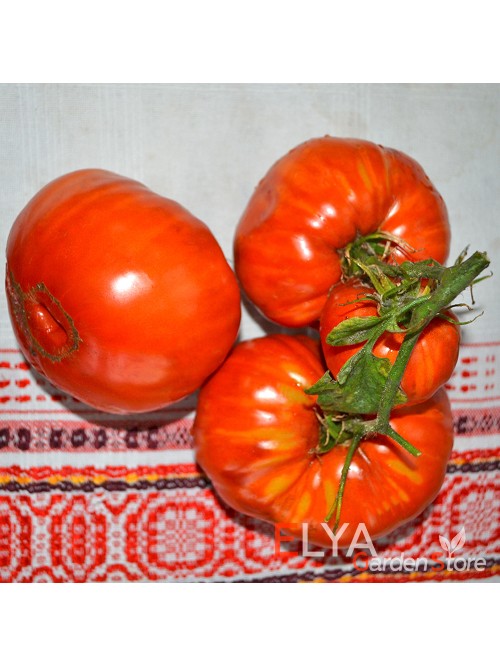 Семена томата Басаджаун - коллекционный сорт