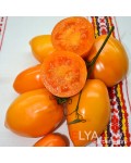 Семена томата Калькутта - коллекционный сорт