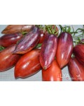 Семена томата Гурман (сливка) - коллекционный сорт