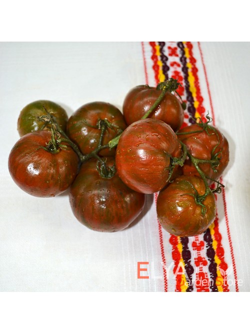 Семена томата Энди Сорок (гном) - коллекционный сорт