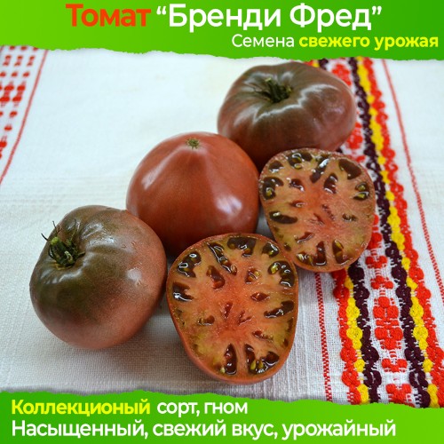 Семена томата Бренди Фред (гном) - коллекционный сорт