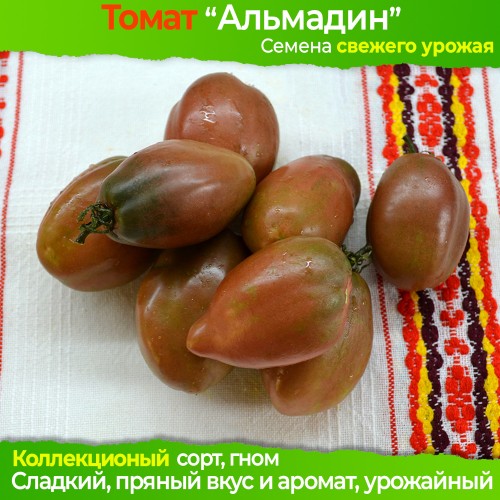 Семена томата Алмандин (гном) - коллекционный сорт