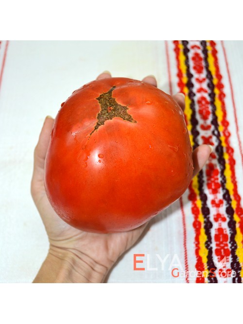 Семена томата Мамина Любовь - коллекционный сорт