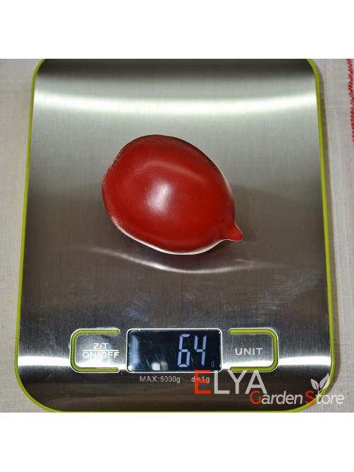 Семена томата Сызранская Пипочка - коллекционный сорт