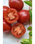 Семена томата Сызранская Пипочка - коллекционный сорт