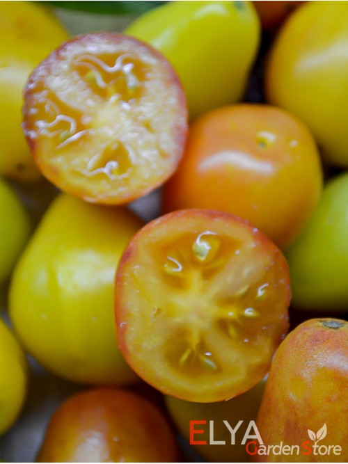 Семена томата Предгорная Груша - коллекционный сорт