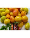 Семена томата Предгорная Груша - коллекционный сорт