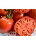 Семена томата Сахарная Настасья - коллекционный сорт