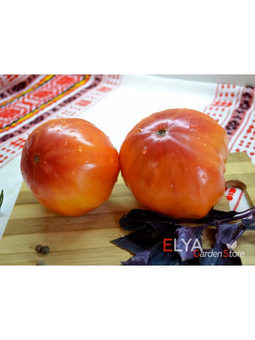 Семена томата Тайна Марси - коллекционный сорт