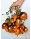 Семена томата Сержант Пеппер Биколор - коллекционный сорт