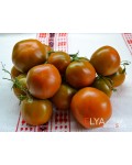 Семена томата Терракотовый Торбена - коллекционный сорт