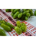 Семена томата Танцующие Зеленые Пальчики - коллекционный сорт