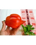 Семена томата Скифея - коллекционный сорт