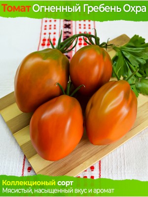 Семена томата Огненный Гребень Охра  - коллекционный сорт
