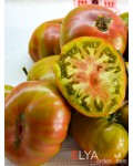 Семена томата Черный Ананас - коллекционный сорт