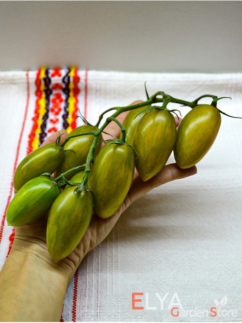 Семена томата Хаки Полосатый - коллекционный сорт