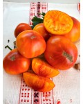 Семена томата Казахский Шалавье - коллекционный сорт