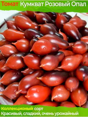 Семена томата Кумкват Розовый Опал - коллекционный сорт