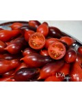 Семена томата Кумкват Розовый Опал - коллекционный сорт