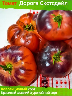 Семена томата Дорога Скотсдейл - коллекционный сорт