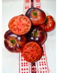 Семена томата Дорога Скотсдейл - коллекционный сорт