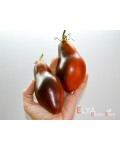 Семена томата Сержант Пеппер Бронза  - коллекционный сорт