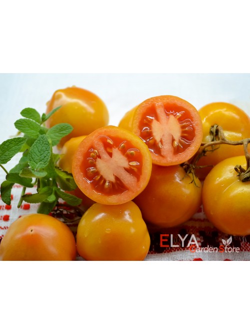 Семена томата Колядник - коллекционный сорт