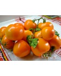 Семена томата Мандарин Кросс - коллекционный сорт