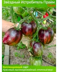 Семена томата Звездный истребитель Прайм - коллекционный сорт
