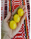 Семена томата Песчаная Буря - коллекционный сорт