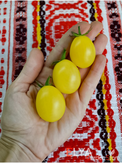 Семена томата Песчаная Буря - коллекционный сорт