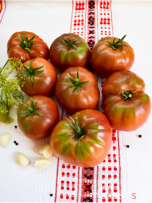 Семена томата Варшава - коллекционный сорт