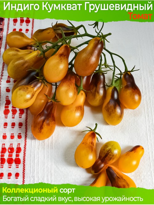 Семена томата Индиго Кумкват Грушевидный - коллекционный сорт