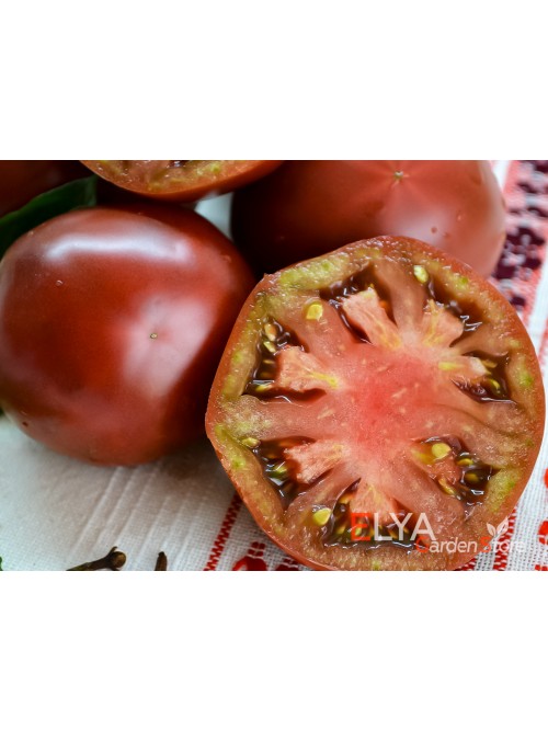 Семена томата Старая Голландия - коллекционный сорт